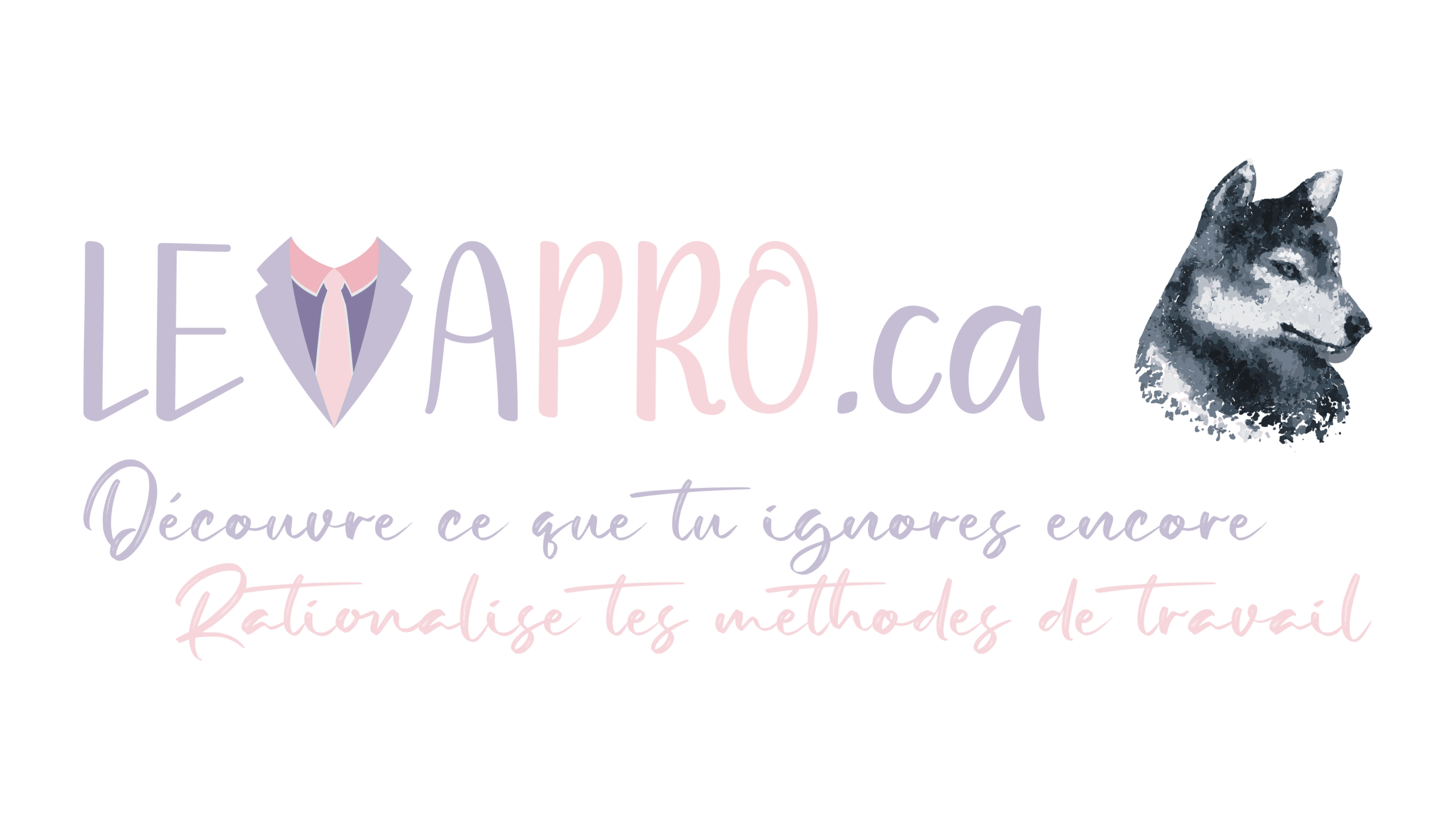 🔐 Ton QG — La trousse anti-débordement à télécharger par LEVAPro