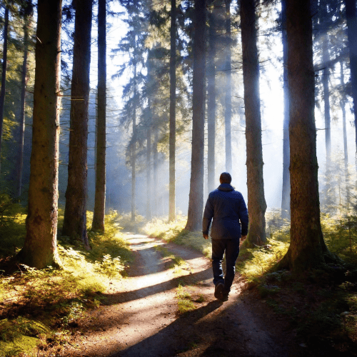 Homme marchant seul dans une forêt éclairée par le soleil, représentant une pause ou un retour à soi en pleine nature.